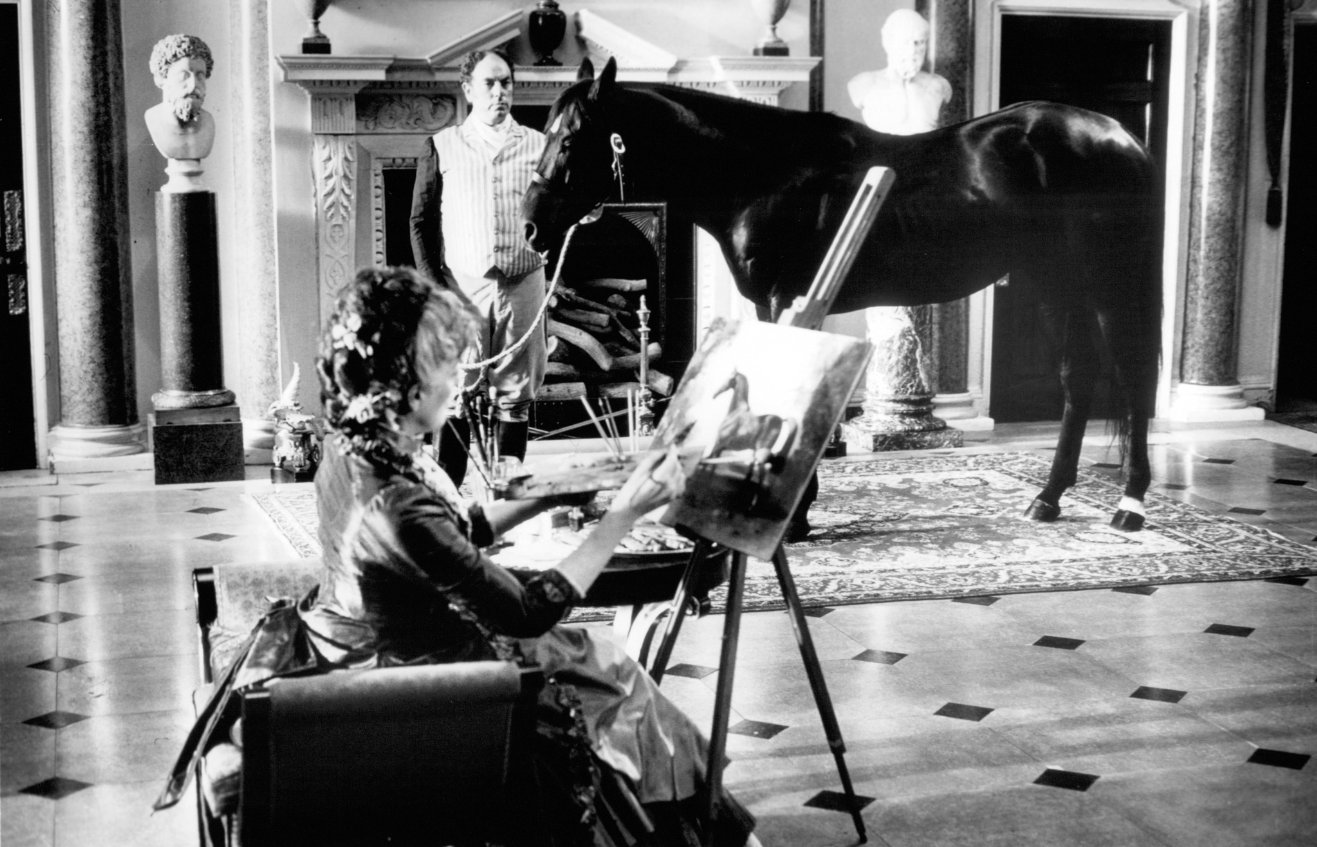 Фото - Черный красавец: 1317x847 / 204 Кб