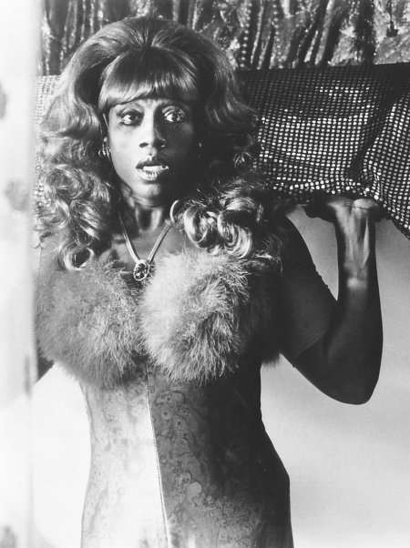 Фото - Вонг Фу, с благодарностью за все! Джули Ньюмар: 450x602 / 62 Кб