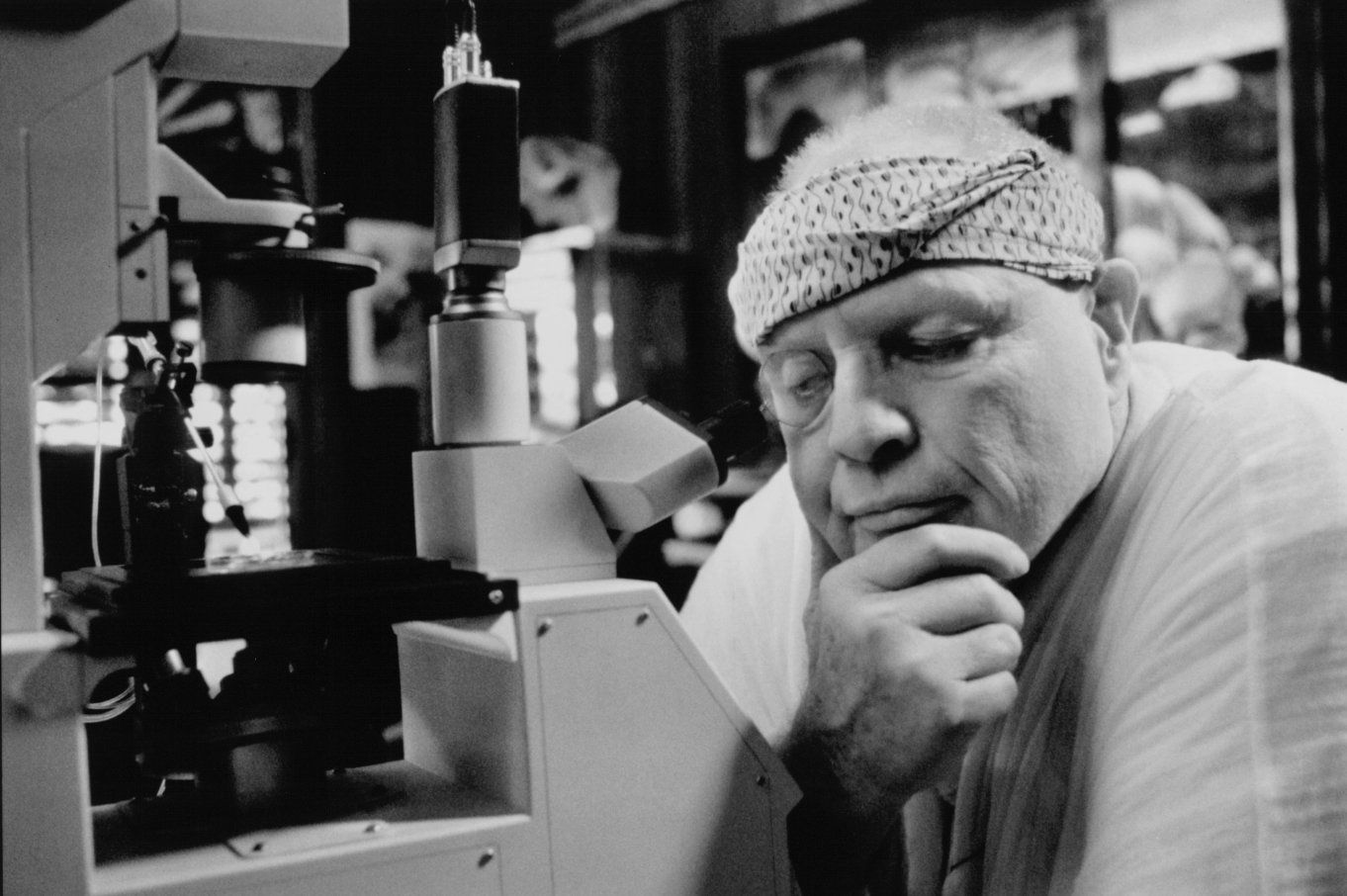 Фото - Остров доктора Моро: 1362x906 / 164 Кб