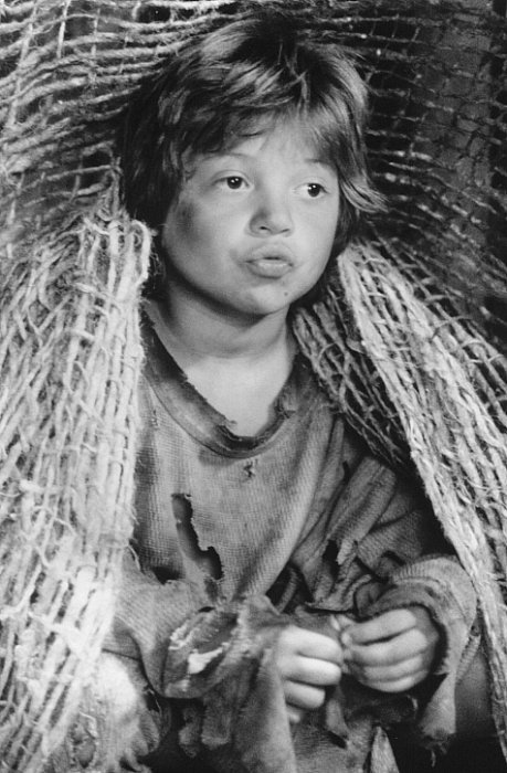 Фото - Шестиструнный самурай: 459x700 / 82 Кб