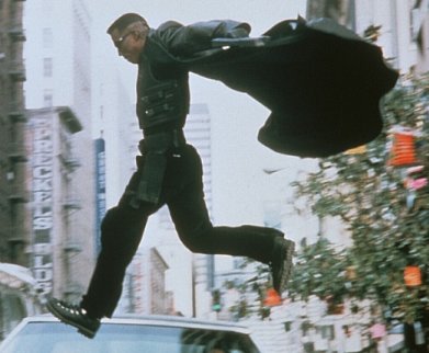 Фото - Блэйд: 391x322 / 28 Кб