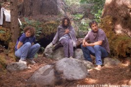 Фото - Забвение: 267x178 / 18 Кб