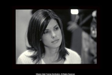 Фото - Супершпион: 366x244 / 13 Кб