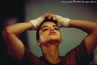 Фото - Женский бой: 317x212 / 14 Кб