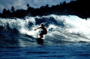 Фото - Кровавый серфинг: 315x209 / 21 Кб