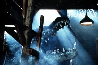 Фото - Кровавый серфинг: 317x212 / 19 Кб