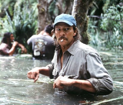 Фото - Адаптация: 414x353 / 42 Кб