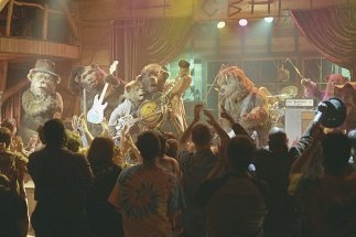 Фото - Деревенские медведи: 323x215 / 18 Кб