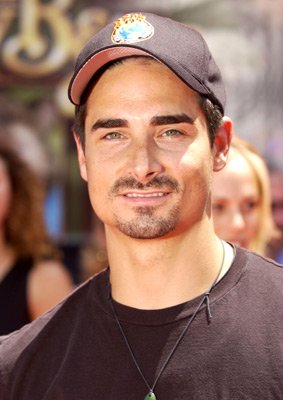 Фото - Деревенские медведи: 283x400 / 24 Кб