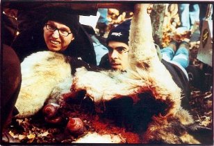 Фото - Лихорадка: 308x211 / 24 Кб