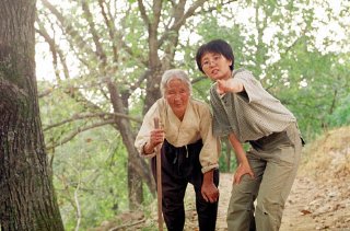 Фото - Дорога к дому: 320x211 / 26 Кб