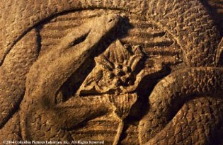 Фото - Анаконда 2: Охота за Проклятой орхидеей: 315x205 / 27 Кб