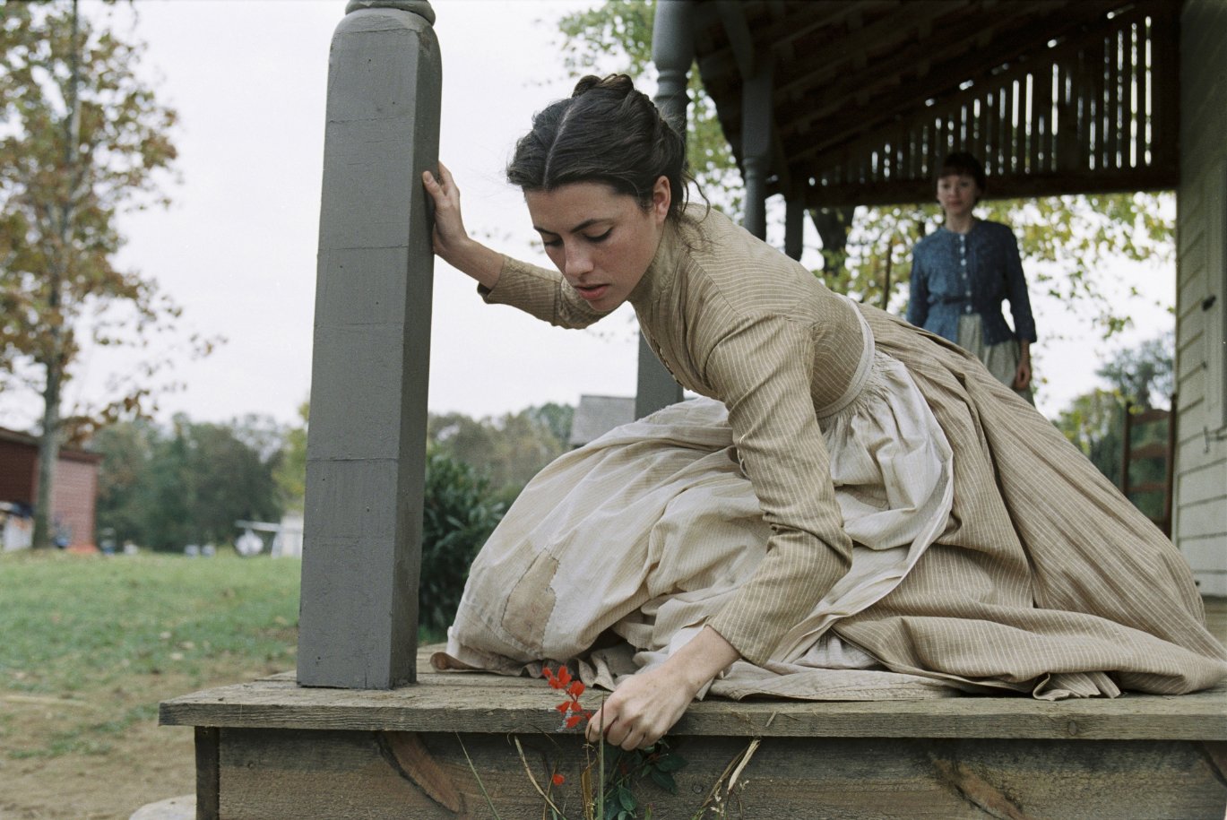 Фото - Таинственный лес: 1369x915 / 231 Кб