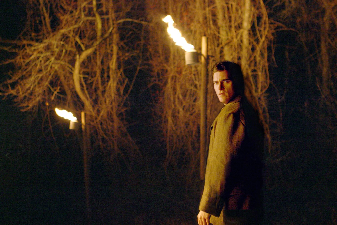 Фото - Таинственный лес: 1369x915 / 231 Кб