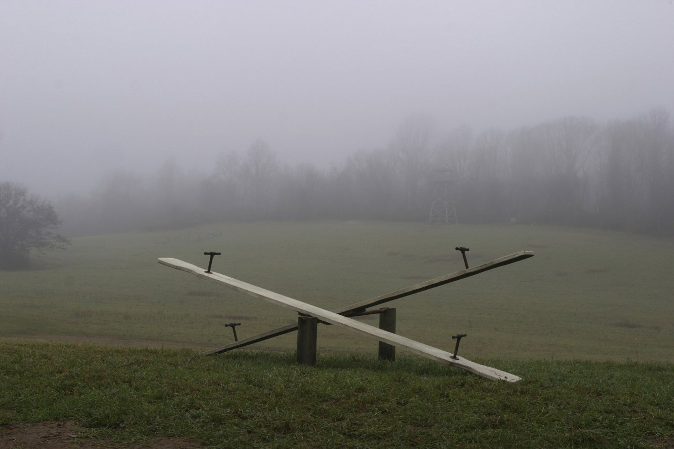 Фото - Таинственный лес: 1365x910 / 125 Кб