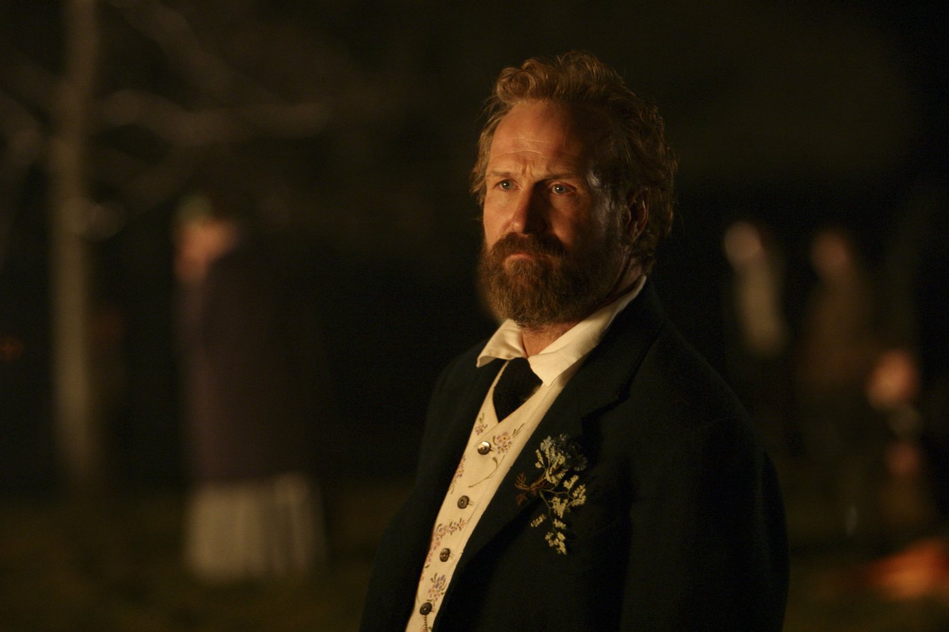 Фото - Таинственный лес: 1365x910 / 114 Кб