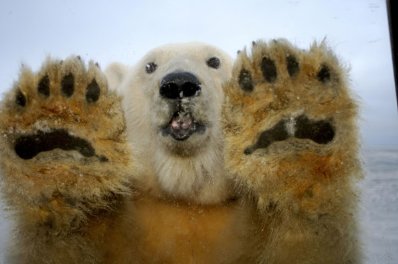 Фото - Земля: 398x264 / 20 Кб