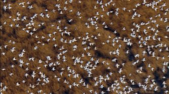 Фото - Земля: 334x186 / 27 Кб