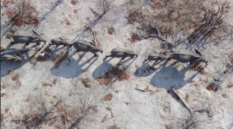 Фото - Земля: 334x186 / 25 Кб