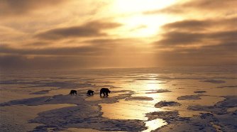 Фото - Земля: 334x186 / 14 Кб