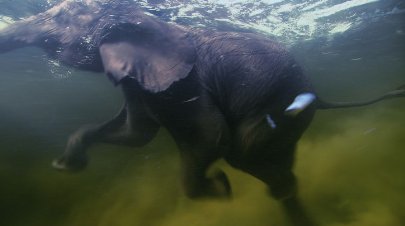 Фото - Земля: 405x226 / 14 Кб