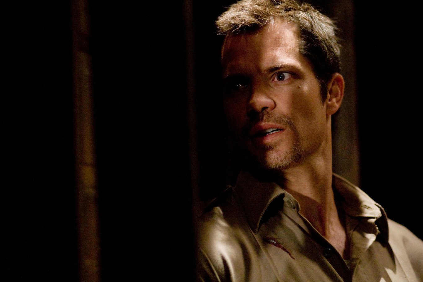 Фото - Безумцы: 1365x910 / 122 Кб