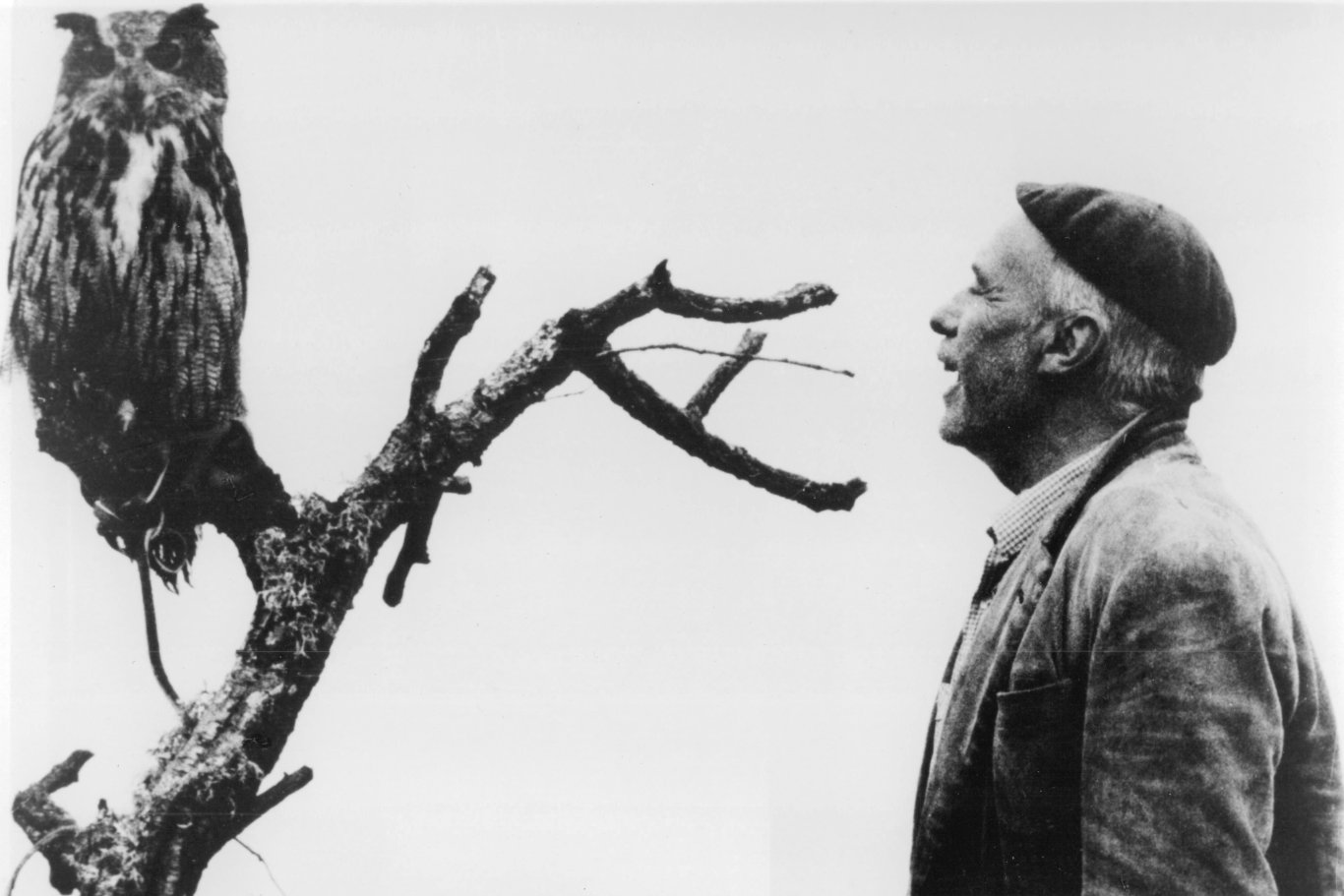 Фото - Святые невинные: 1366x911 / 127 Кб