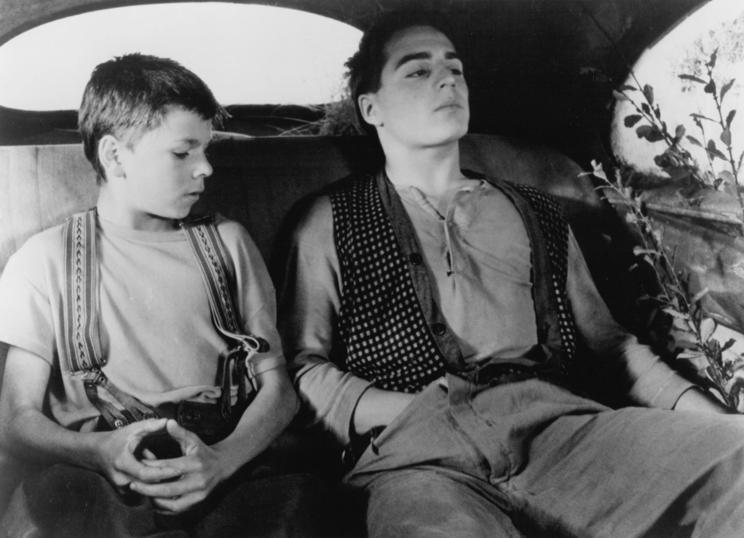 Фото - Безумная любовь: 1483x1074 / 202 Кб