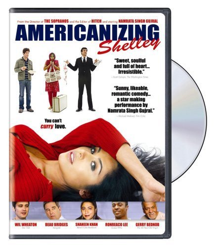 Фото - Удивительные приключения индианки в Америке: 437x500 / 51 Кб