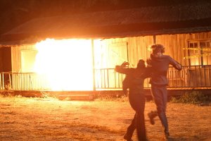 Фото - Волк оборотень: 300x200 / 15 Кб