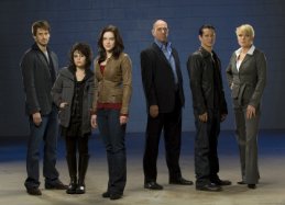 Фото - Бионическая женщина: 259x187 / 11 Кб