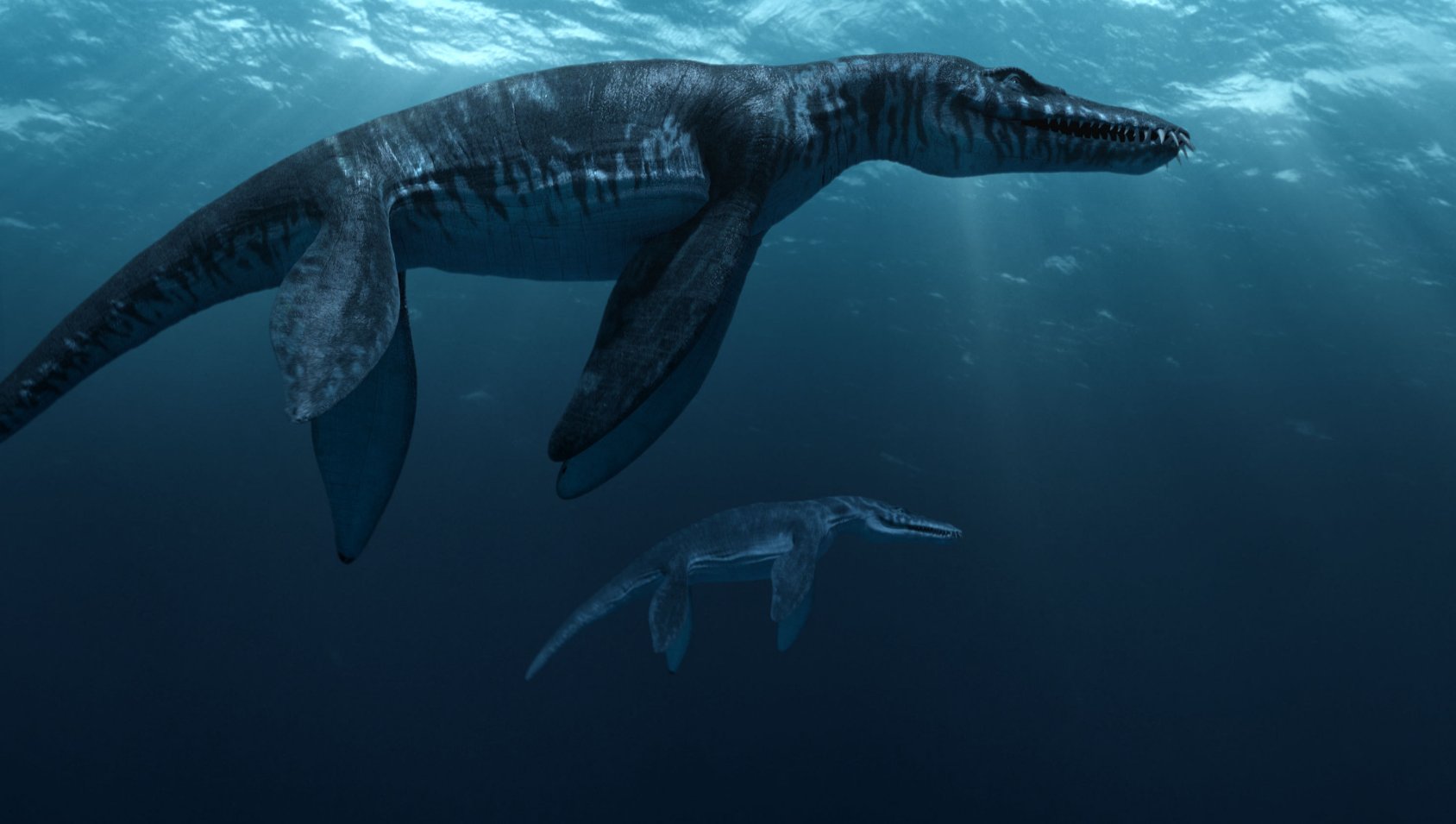 Фото - Морские динозавры 3D: Путешествие в доисторический мир: 1688x955 / 119 Кб