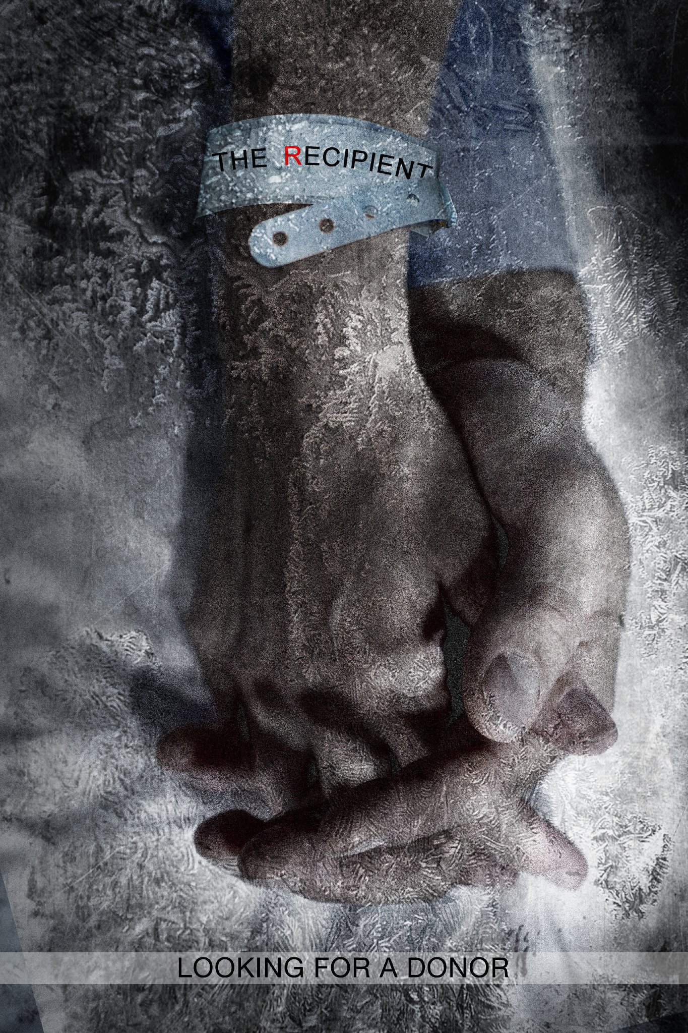 Фото - The Recipient: 1365x2048 / 994 Кб