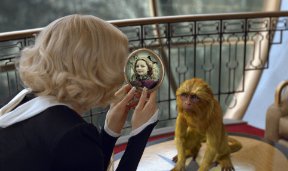 Фото - Золотой компас: 288x171 / 14 Кб