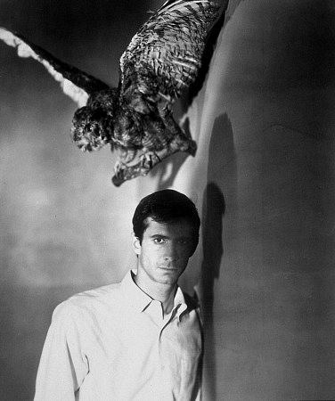 Фото - Психо: 376x450 / 32 Кб