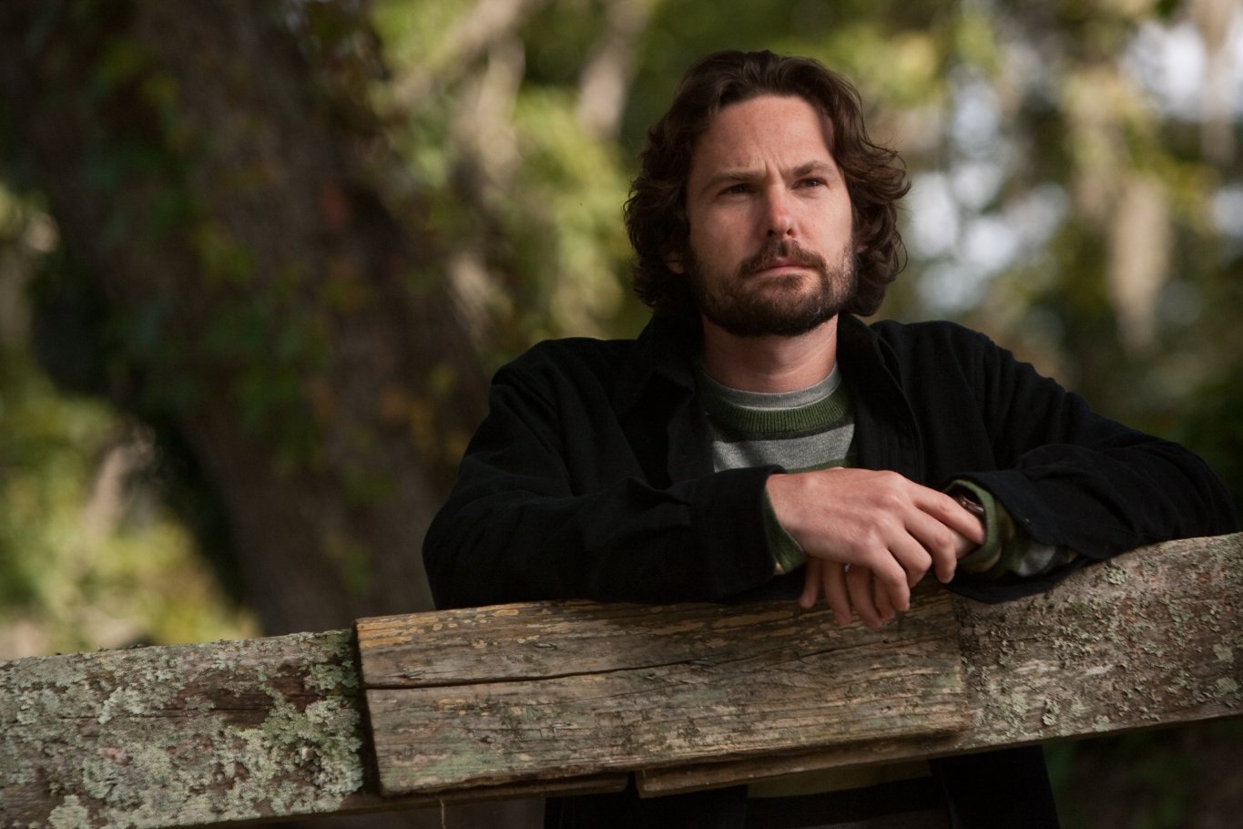 Фото - Дорогой Джон: 1365x910 / 164 Кб