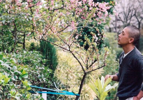 Фото - Gururi no koto: 500x350 / 71 Кб