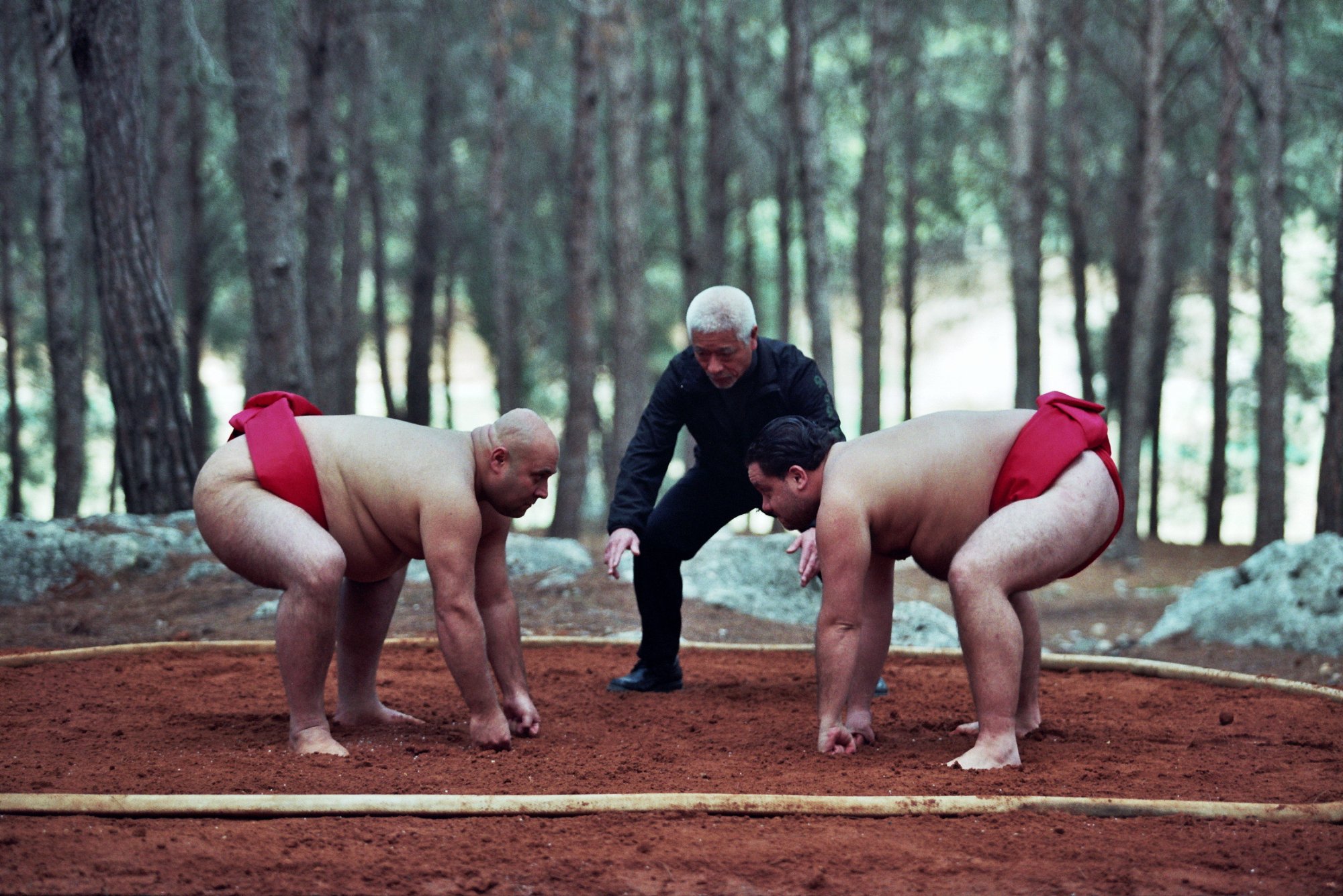 Фото - Размер имеет значение: 2000x1335 / 482 Кб