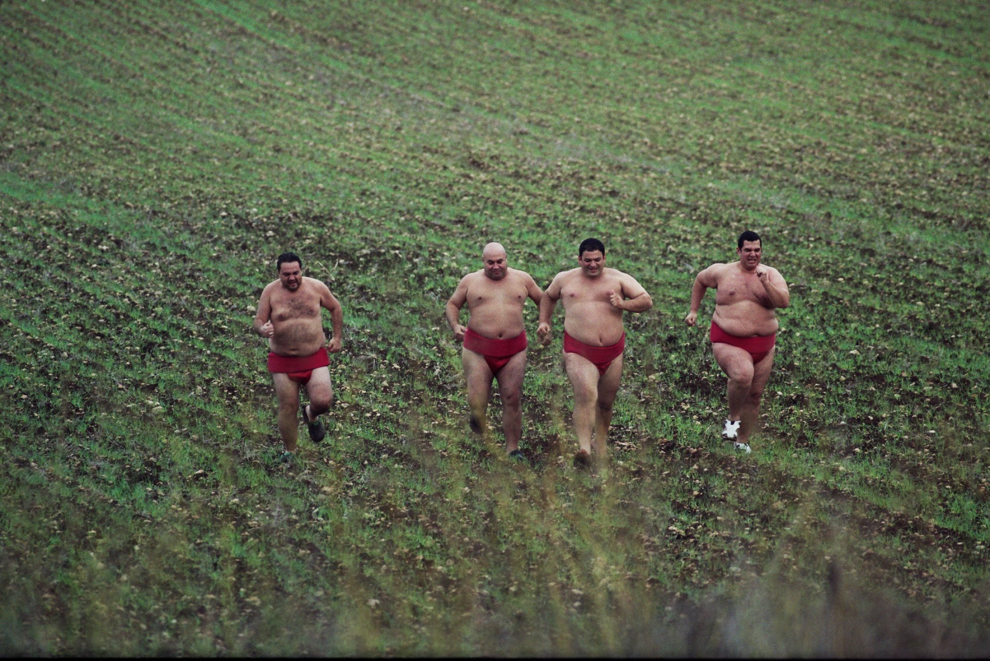 Фото - Размер имеет значение: 2000x1335 / 655 Кб