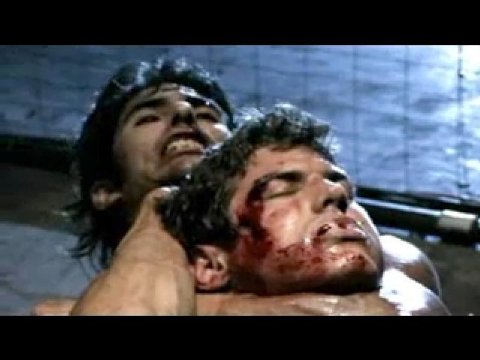 Фото - Vale Tudo Project: 480x360 / 27 Кб