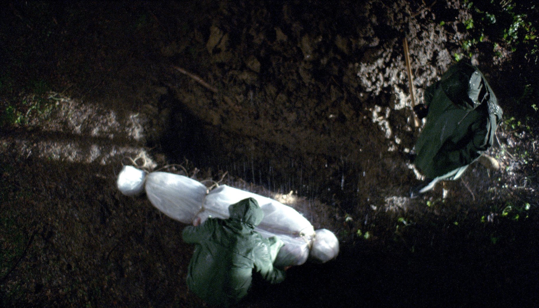 Фото - No One's Son: 1828x1044 / 560 Кб