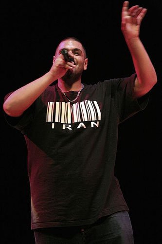 Фото - The Official Prince of Persia: 333x500 / 21 Кб