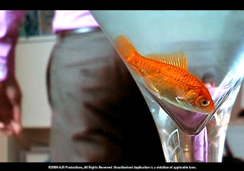 Фото - Time of Day: 475x334 / 27 Кб