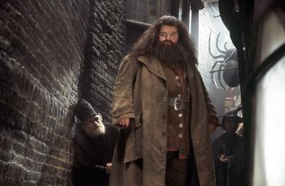 Фото - Гарри Поттер и Тайная комната: 317x207 / 18 Кб