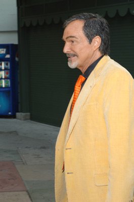 Фото - Придурки из Хаззарда: 265x400 / 17 Кб