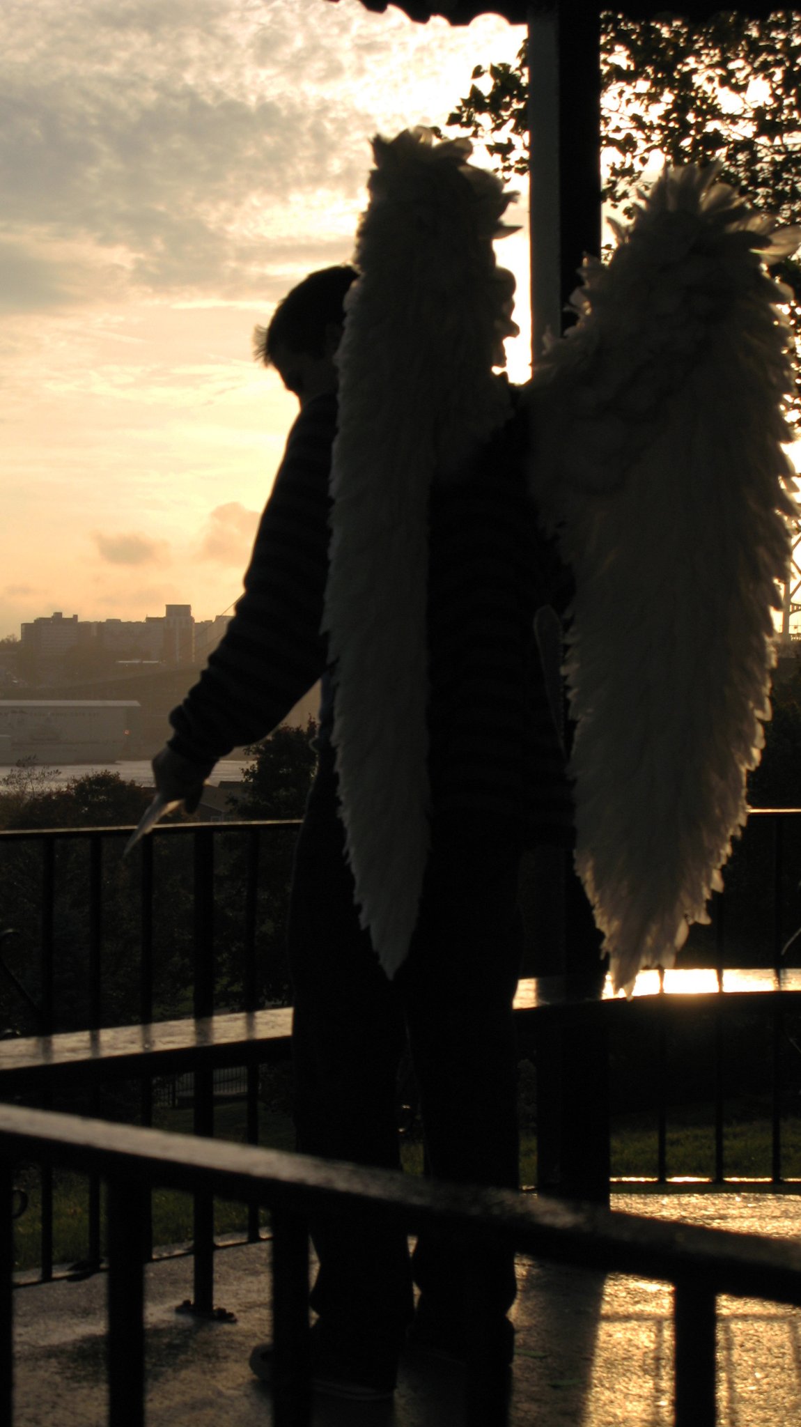 Фото - Бессмысленная революция: 1150x2048 / 240 Кб