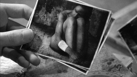 Фото - Юг: 443x249 / 26 Кб