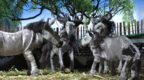 Фото - Zooland: 501x279 / 54 Кб