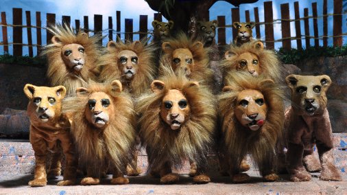 Фото - Zooland: 506x284 / 49 Кб