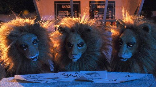 Фото - Zooland: 506x284 / 40 Кб